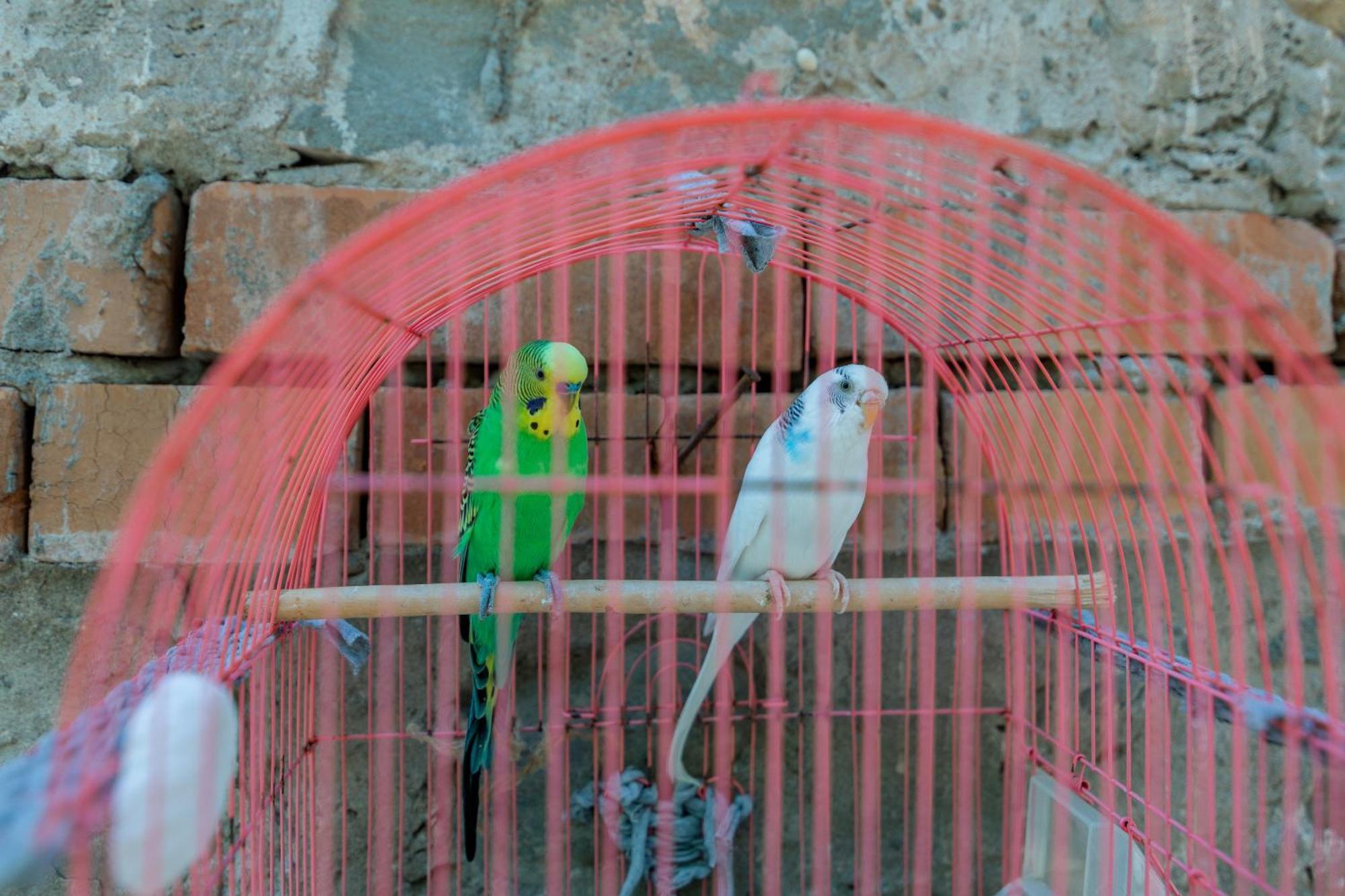 Apartmán Mariana Gori Exteriér fotografie